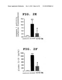 INDICATOR AGENT FOR NONINFLAMMATORY STRESS RESPONSE AND USE THEREOF diagram and image