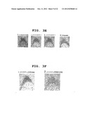 INDICATOR AGENT FOR NONINFLAMMATORY STRESS RESPONSE AND USE THEREOF diagram and image