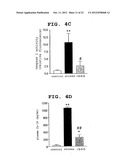 INDICATOR AGENT FOR NONINFLAMMATORY STRESS RESPONSE AND USE THEREOF diagram and image