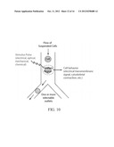 Systems and Methods for Electrophysiological Activated Cell Sorting and     Cytometry diagram and image