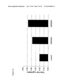 BACTERIAL HOST STRAIN diagram and image