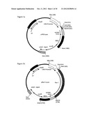 Retroviral Vector Particles and Methods for their Generation and Use diagram and image