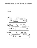 Retroviral Vector Particles and Methods for their Generation and Use diagram and image