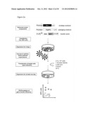 Retroviral Vector Particles and Methods for their Generation and Use diagram and image