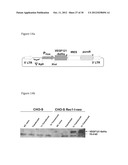 Retroviral Vector Particles and Methods for their Generation and Use diagram and image