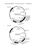 Retroviral Vector Particles and Methods for their Generation and Use diagram and image