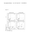 Retroviral Vector Particles and Methods for their Generation and Use diagram and image