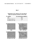 PRODUCTION OF LOW FUCOSE ANTIBODIES IN H4-II-E RAT CELLS diagram and image