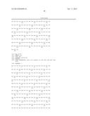 PRODUCTION OF LOW FUCOSE ANTIBODIES IN H4-II-E RAT CELLS diagram and image