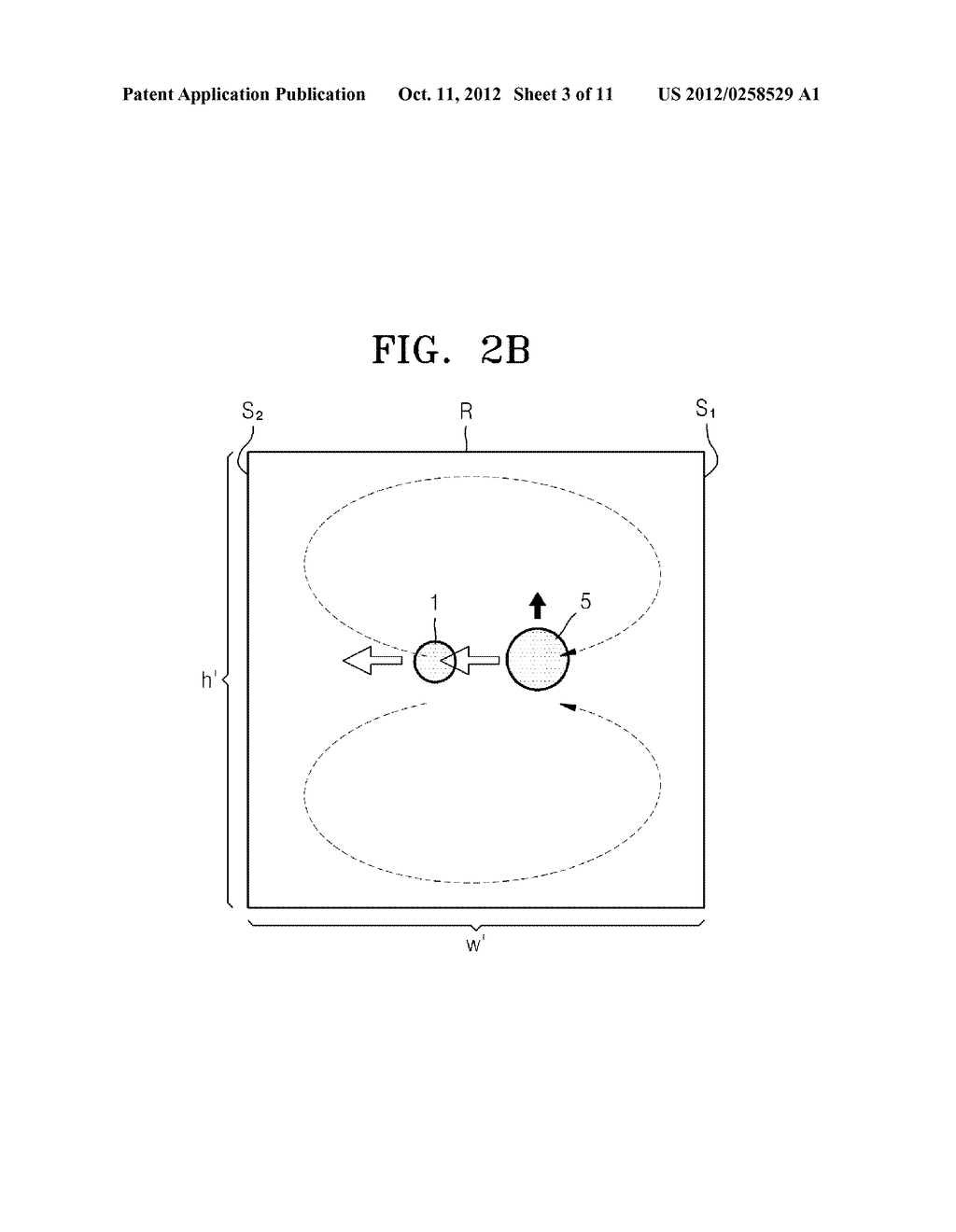 APPARATUS FOR SEPARATING TARGET MOLECULES AND METHOD OF SEPARATING TARGET     MOLECULES BY USING THE SAME - diagram, schematic, and image 04