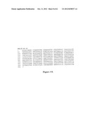 I-CREI MEGANUCLEASE VARIANTS WITH MODIFIED SPECIFICITY, METHOD OF     PREPARATION AND USES THEREOF diagram and image