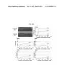 I-CREI MEGANUCLEASE VARIANTS WITH MODIFIED SPECIFICITY, METHOD OF     PREPARATION AND USES THEREOF diagram and image