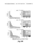 I-CREI MEGANUCLEASE VARIANTS WITH MODIFIED SPECIFICITY, METHOD OF     PREPARATION AND USES THEREOF diagram and image