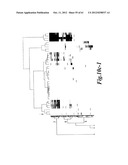 I-CREI MEGANUCLEASE VARIANTS WITH MODIFIED SPECIFICITY, METHOD OF     PREPARATION AND USES THEREOF diagram and image