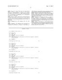 I-CREI MEGANUCLEASE VARIANTS WITH MODIFIED SPECIFICITY, METHOD OF     PREPARATION AND USES THEREOF diagram and image