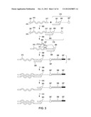 PEPTIDE CONSTRUCTS AND ASSAY SYSTEMS diagram and image