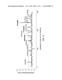 PEPTIDE CONSTRUCTS AND ASSAY SYSTEMS diagram and image