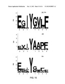 PEPTIDE CONSTRUCTS AND ASSAY SYSTEMS diagram and image