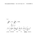 REDUCTION OF 2,3-DIHYDROXY-2-METHYL BUTYRATE (DHMB) IN BUTANOL PRODUCTION diagram and image