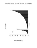 siRNA Targeting Kinase Insert Domain Receptor (KDR) diagram and image