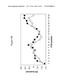 siRNA Targeting Kinase Insert Domain Receptor (KDR) diagram and image