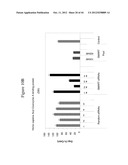 siRNA Targeting Kinase Insert Domain Receptor (KDR) diagram and image