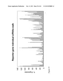 siRNA Targeting Kinase Insert Domain Receptor (KDR) diagram and image