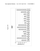 siRNA Targeting Kinase Insert Domain Receptor (KDR) diagram and image