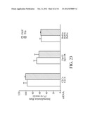 siRNA Targeting Kinase Insert Domain Receptor (KDR) diagram and image