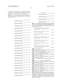 siRNA Targeting Kinase Insert Domain Receptor (KDR) diagram and image