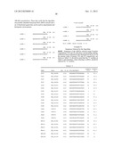 siRNA Targeting Kinase Insert Domain Receptor (KDR) diagram and image