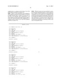 siRNA Targeting Kinase Insert Domain Receptor (KDR) diagram and image