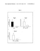 OPHTHALMIC PREPARATIONS BASED ON BDNF (BRAIN-DERIVED NEUROTROPHIC FACTOR)     AND THEIR USE diagram and image