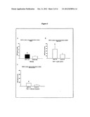 OPHTHALMIC PREPARATIONS BASED ON BDNF (BRAIN-DERIVED NEUROTROPHIC FACTOR)     AND THEIR USE diagram and image