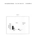 OPHTHALMIC PREPARATIONS BASED ON BDNF (BRAIN-DERIVED NEUROTROPHIC FACTOR)     AND THEIR USE diagram and image