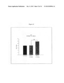 OPHTHALMIC PREPARATIONS BASED ON BDNF (BRAIN-DERIVED NEUROTROPHIC FACTOR)     AND THEIR USE diagram and image