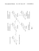 Enzymatic Production or Chemical Synthesis and Uses for 5,7-Dienes and UVB     Conversion Products Thereof diagram and image