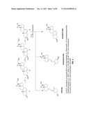 Enzymatic Production or Chemical Synthesis and Uses for 5,7-Dienes and UVB     Conversion Products Thereof diagram and image