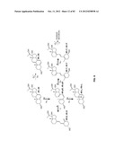 Enzymatic Production or Chemical Synthesis and Uses for 5,7-Dienes and UVB     Conversion Products Thereof diagram and image