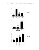 Enzymatic Production or Chemical Synthesis and Uses for 5,7-Dienes and UVB     Conversion Products Thereof diagram and image