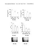 Enzymatic Production or Chemical Synthesis and Uses for 5,7-Dienes and UVB     Conversion Products Thereof diagram and image