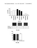 Enzymatic Production or Chemical Synthesis and Uses for 5,7-Dienes and UVB     Conversion Products Thereof diagram and image