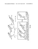 Enzymatic Production or Chemical Synthesis and Uses for 5,7-Dienes and UVB     Conversion Products Thereof diagram and image