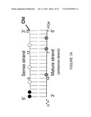 Duplex Oligonucleotides with Enhanced Functionality in Gene Regulation diagram and image