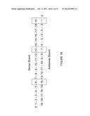 Duplex Oligonucleotides with Enhanced Functionality in Gene Regulation diagram and image