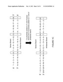 Duplex Oligonucleotides with Enhanced Functionality in Gene Regulation diagram and image