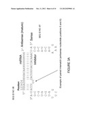 Duplex Oligonucleotides with Enhanced Functionality in Gene Regulation diagram and image