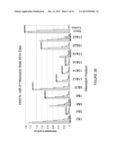 Duplex Oligonucleotides with Enhanced Functionality in Gene Regulation diagram and image