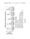 Duplex Oligonucleotides with Enhanced Functionality in Gene Regulation diagram and image