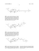 Duplex Oligonucleotides with Enhanced Functionality in Gene Regulation diagram and image